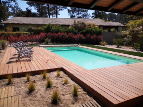 Grande maison landaise avec piscine privée, proche plage, pour 8 personnes à Biscarrosse - FR-1-319-398